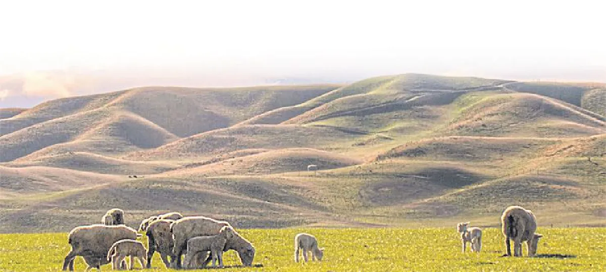 เรียนไป เที่ยวไป สุขใจดินแดนโอเชียเนีย