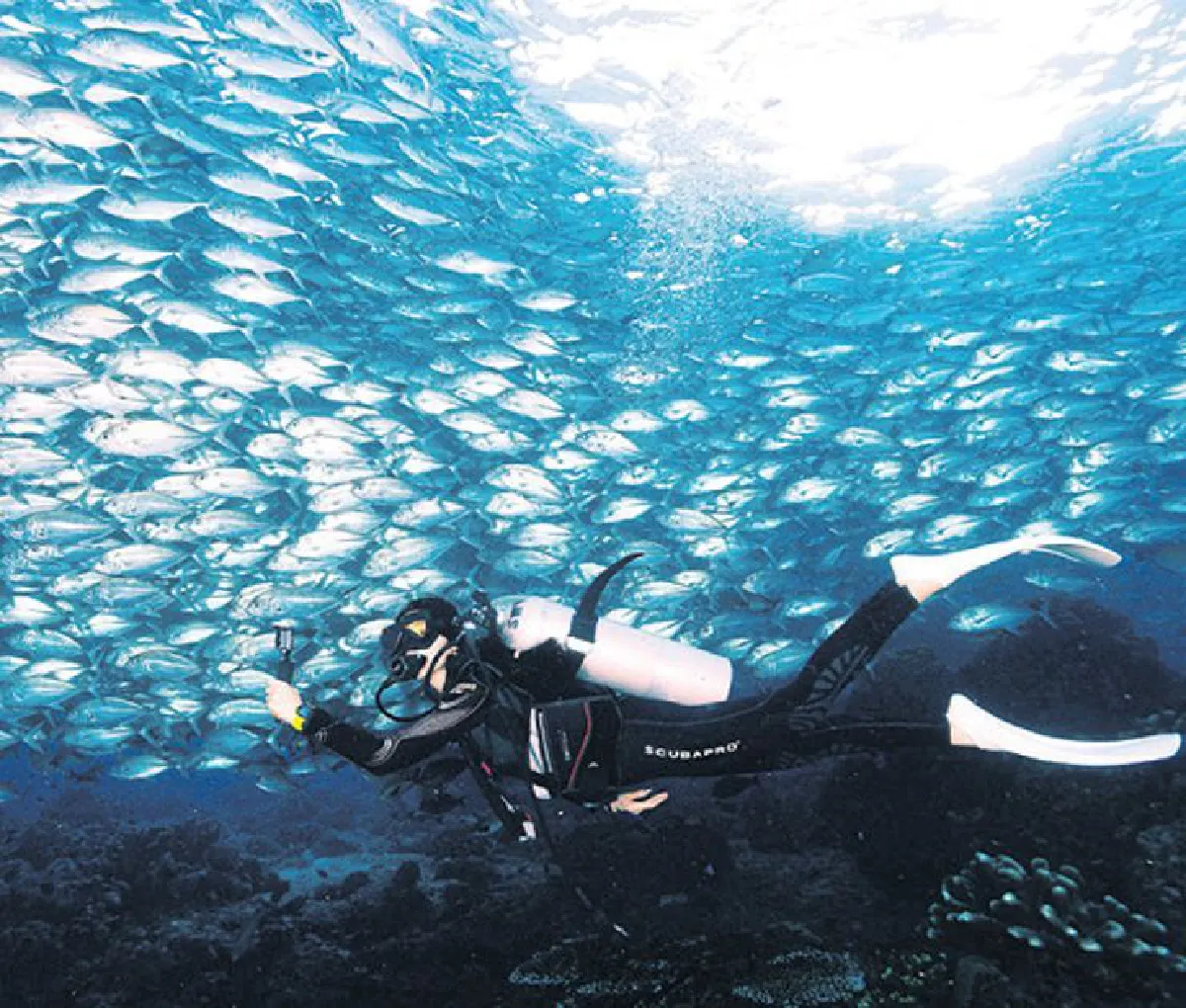 Jajatanti คนธรรมดาที่น่าติดตาม