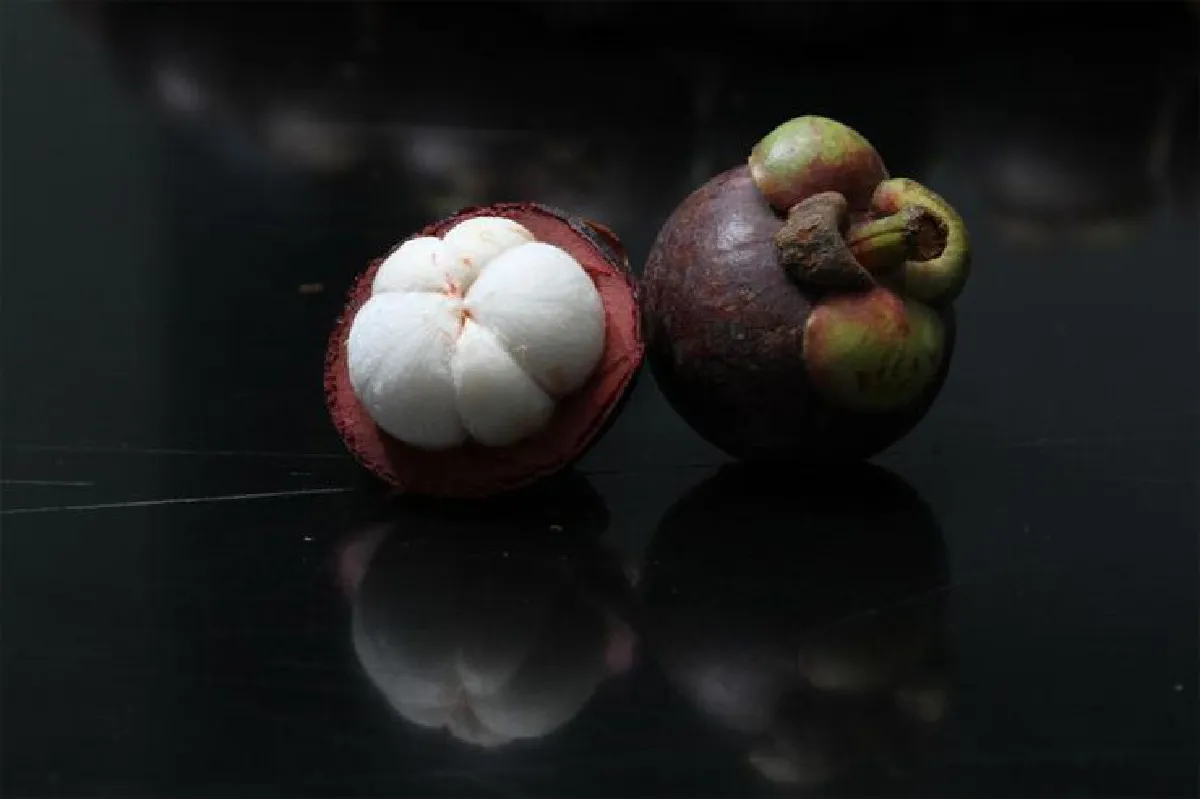 มังคุด กับแนวคิดภูมิคุ้มกันบำบัด