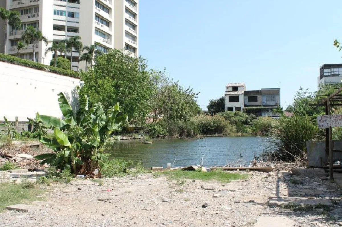 ถอดบทเรียนโศกนาฏกรรมปริศนา “หมาตายนับสิบ” ย่านเอกมัย