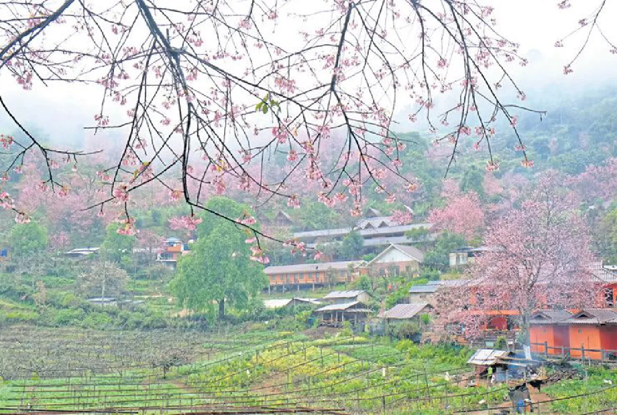 สะพายกล้องท่องเที่ยว วัชรี ศุภลักษณ์