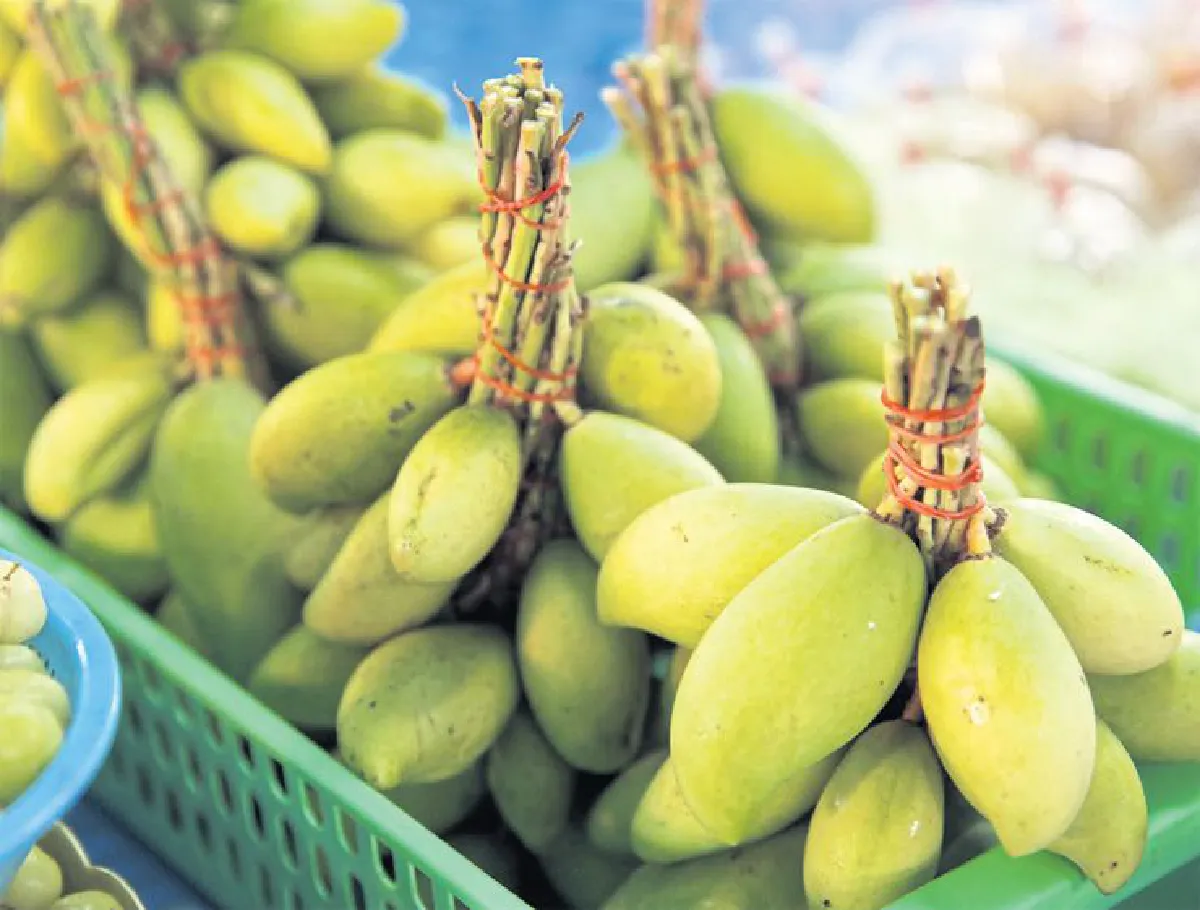 รู้สึกมีความสุข...ที่ตลาดอ่อนนุช