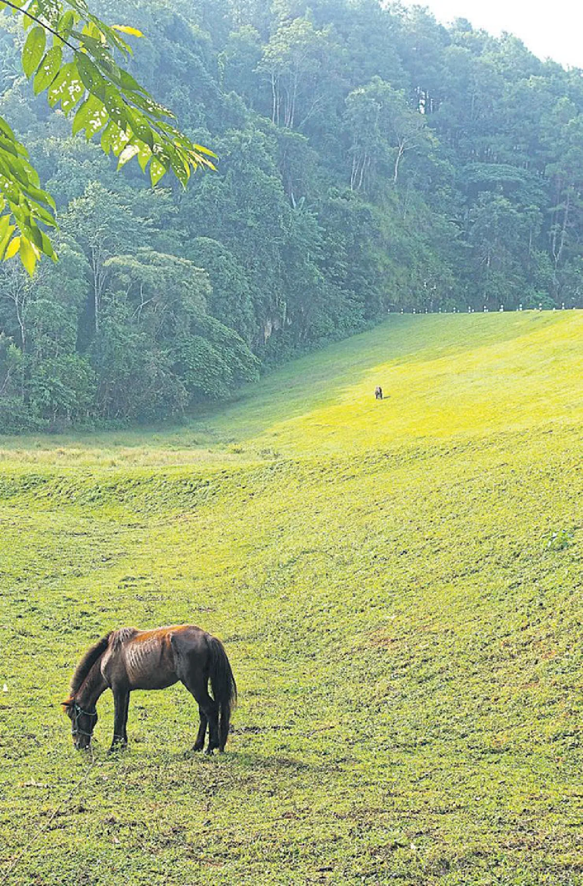 ปลายทาง ที่ ปางอุ๋ง