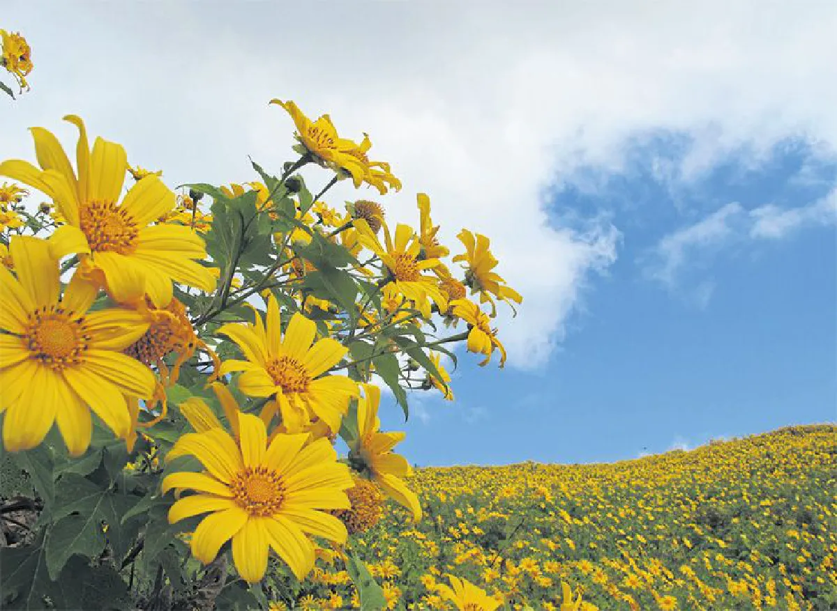 ปลายทาง ที่ ปางอุ๋ง