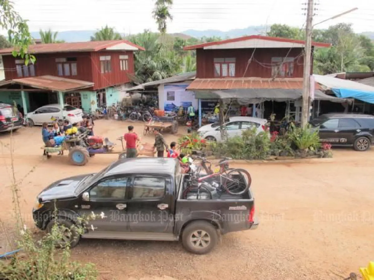 Tourists flock to Loei to see blossoming Himalayan cherry flowers