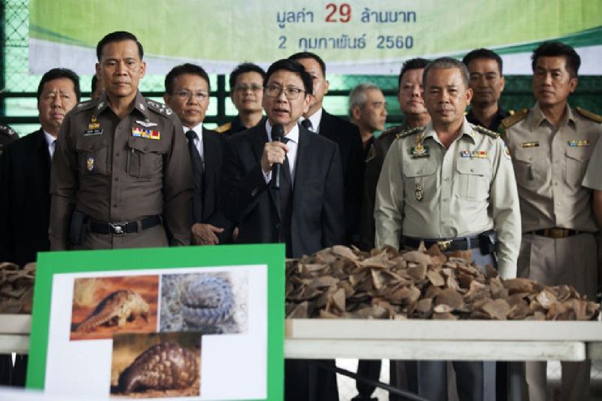 กรมศุลฯ ยึดเกล็ดลิ่น 2.9 ตัน มูลค่ากว่า 29 ล. กรมศุลฯ ยึดเกล็ดลิ่น 2.9 ตัน มูลค่ากว่า 29 ล.
