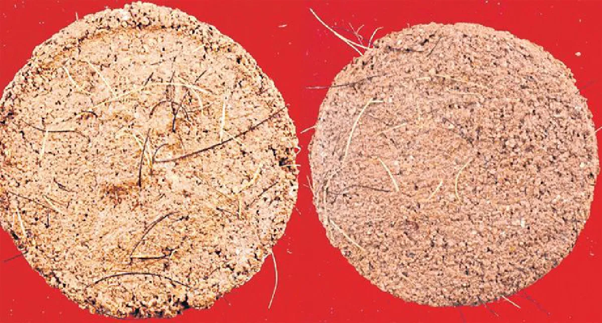 พระยอดนิยม อมตะนิรันดร์กาล