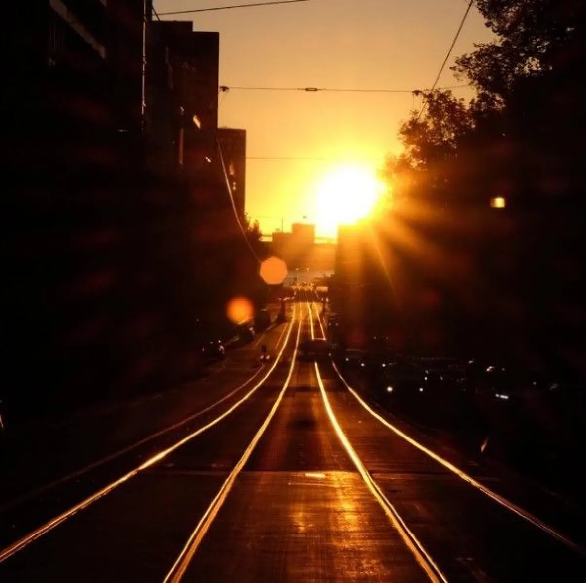 ชมความสวยงามของ Melbhenge เมื่อพระอาทิตย์ตกระหว่างซอกตึกพอดี