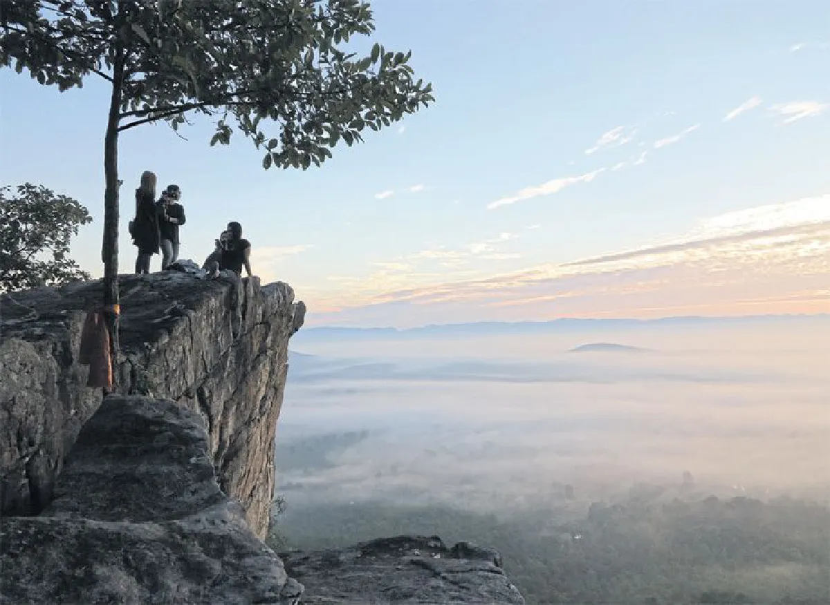 ออกเดินทางเพื่อ ‘สังเคราะห์แสง’