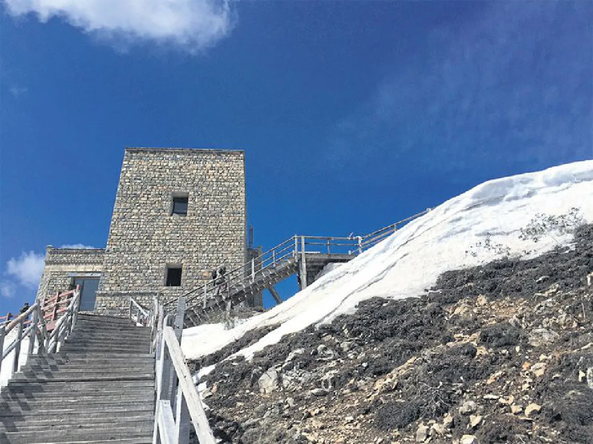 ออกเดินทางเพื่อ ‘สังเคราะห์แสง’