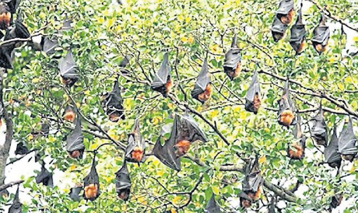 รวมกันเราแกร่ง