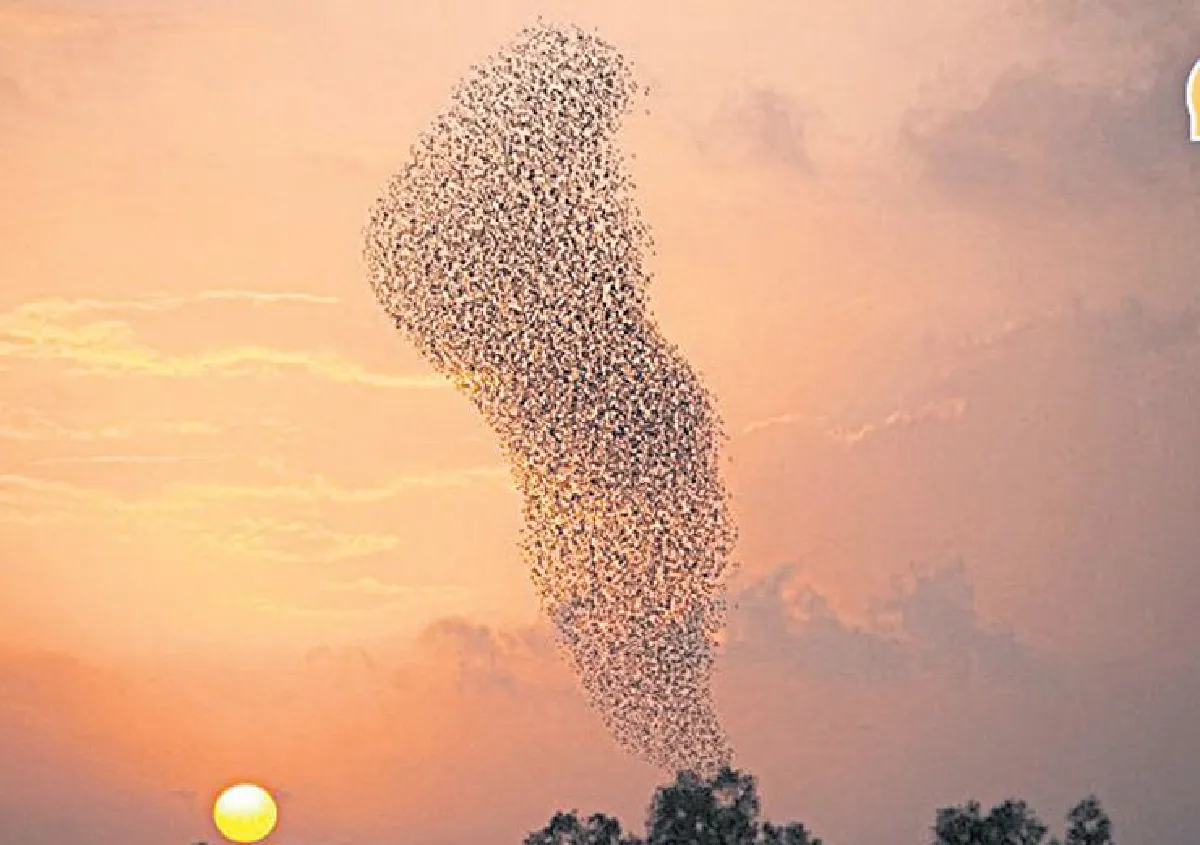 รวมกันเราแกร่ง