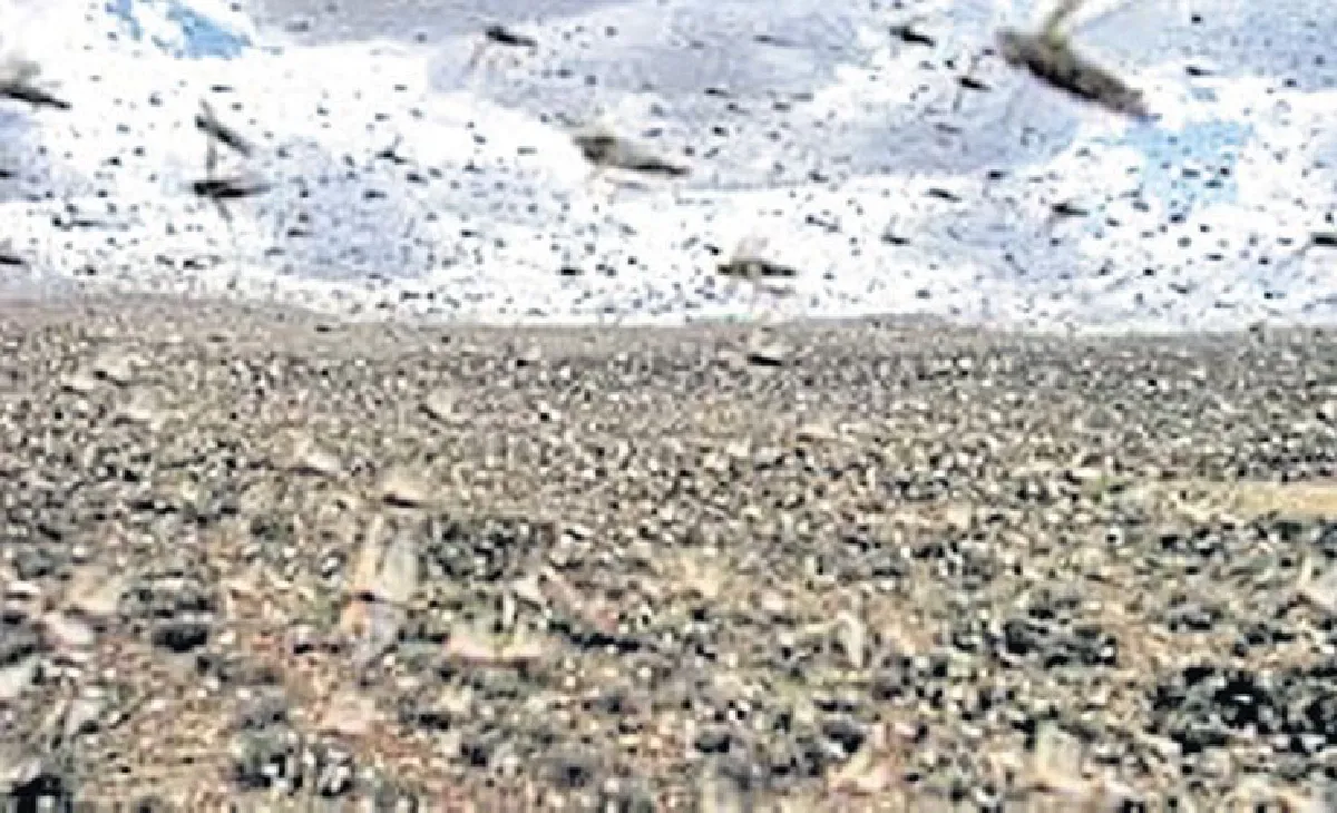 รวมกันเราแกร่ง