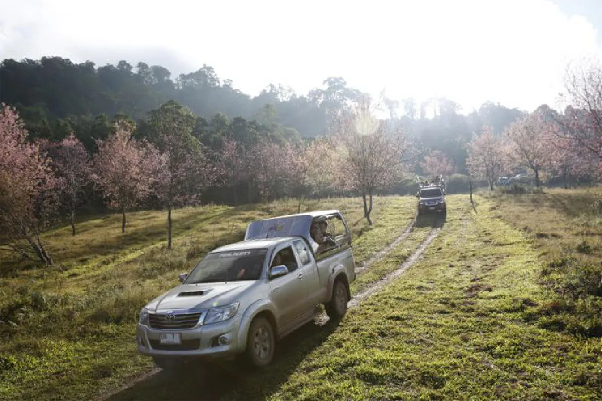 ก่อนดอกไม้จะหายไป ช่วงเวลาสุดท้ายบนภูลมโล