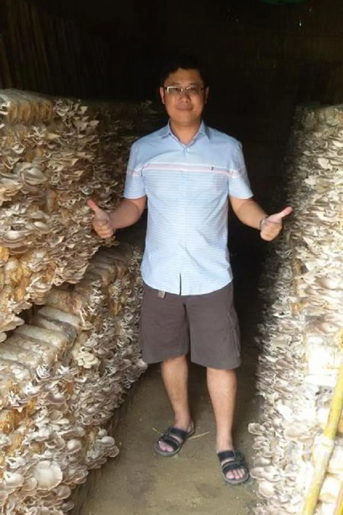 โรงเพาะเห็ดไทยกรีนอะโกรฟาร์ม สารพัดเห็ดดีต่อสุขภาพ