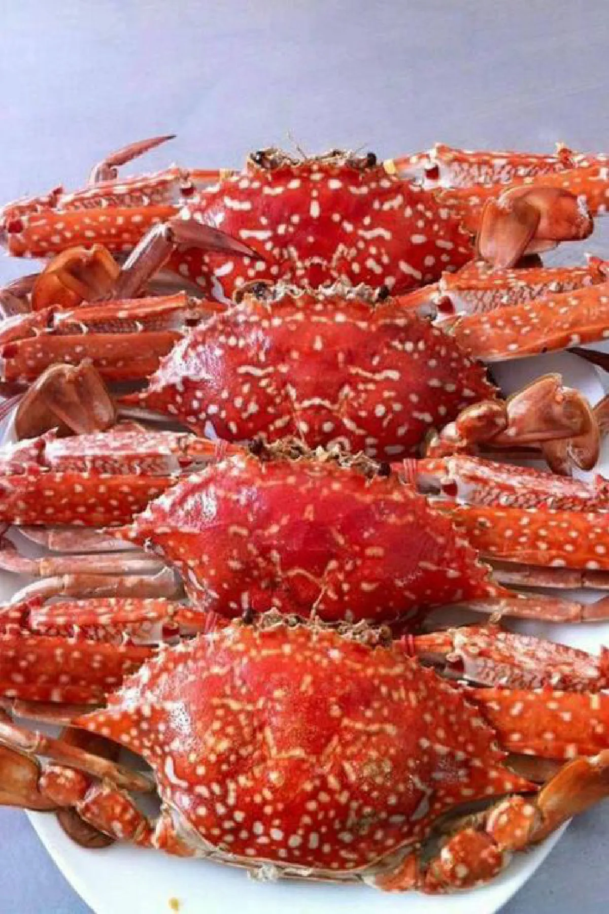 หนึ่งปูม้า ทะเลเผา เสิร์ฟความสด...จากทะเลเมืองจันท์