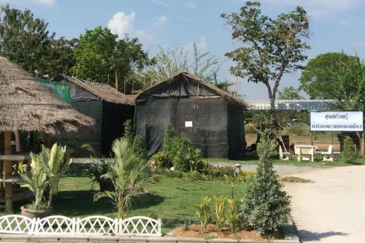 โรงเพาะเห็ดไทยกรีนอะโกรฟาร์ม สารพัดเห็ดดีต่อสุขภาพ