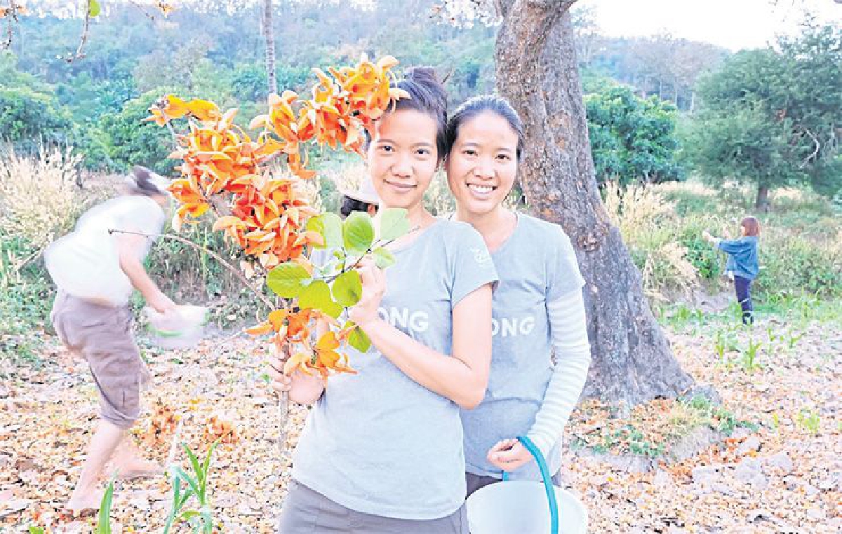 ‘ไร่รื่นรมย์’ เชียงราย ธุรกิจเกษตรเชิงสร้างสรรค์ ‘ไร่รื่นรมย์’ เชียงราย ธุรกิจเกษตรเชิงสร้างสรรค์