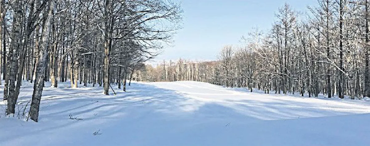 Hokkaido Snow Expo 2