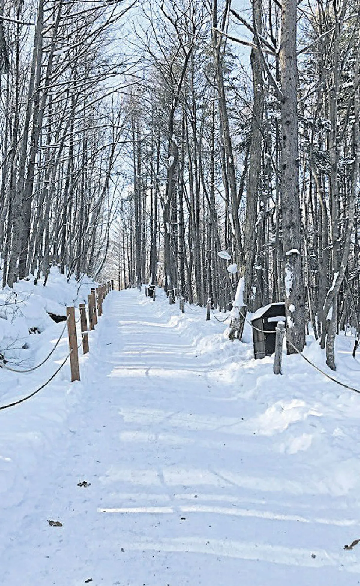 Hokkaido Snow Expo 2