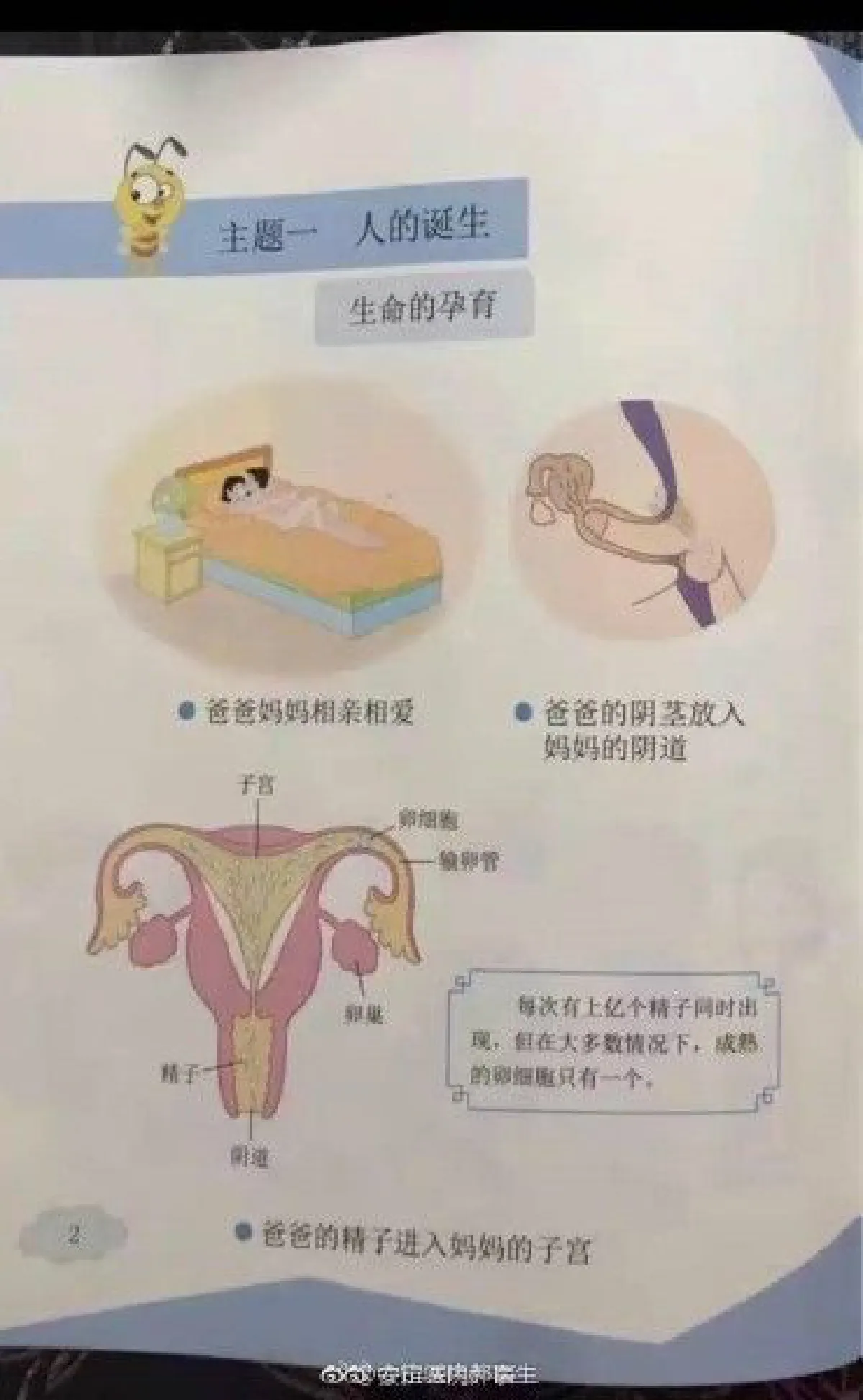 ป๊าม๊าไม่ปลื้ม! หลักสูตรเพศศึกษาใหม่สำหรับเด็กจีน