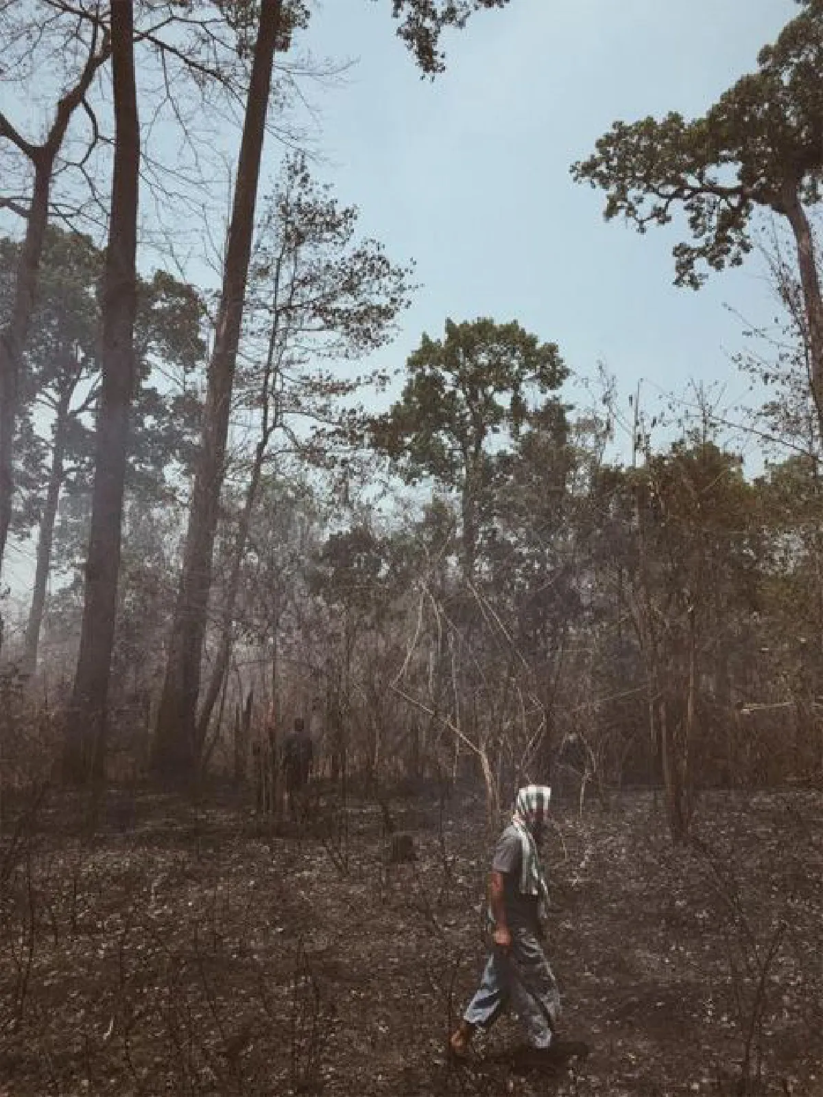 ปลูกป่าในใจคน เมล็ดความหวัง ณ เมืองน่าน