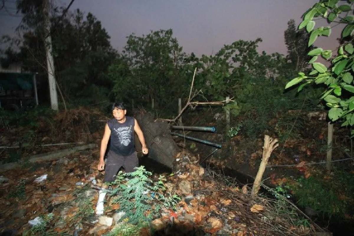พายุฤดูร้อนพัดโรงเรียน-บ้านย่านคลอง4ได้รับความเสียหาย