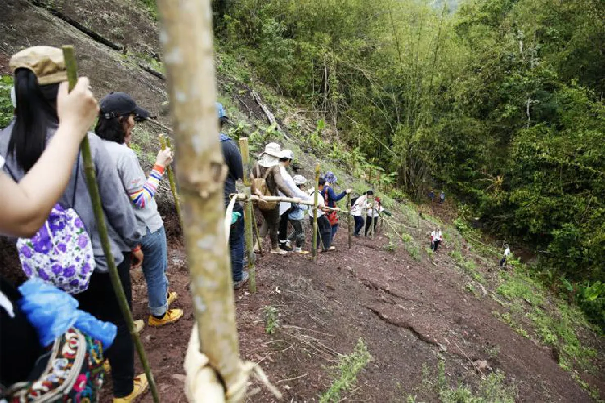 ปลูกป่าในใจคน เมล็ดความหวัง ณ เมืองน่าน