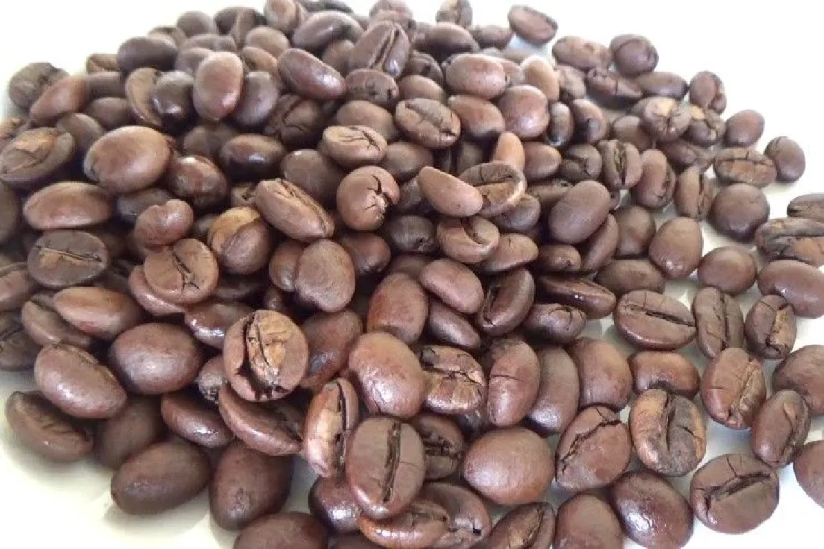 เกษตรกรตรังผลิตขี้กาแฟชะมดขายสร้างรายได้นับสิบล้านบาท