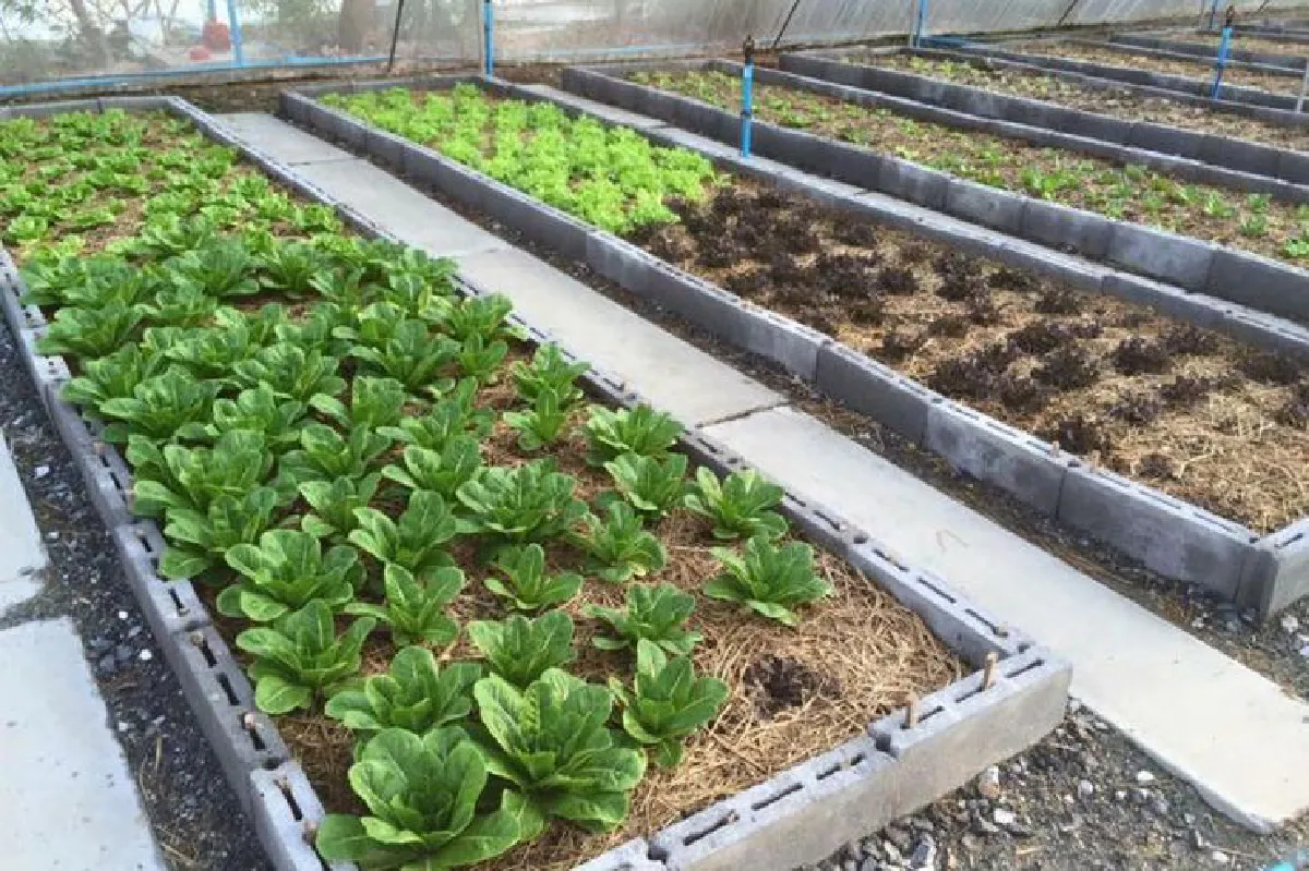 เที่ยวยุคใหม่ ในวิถีดั้งเดิม