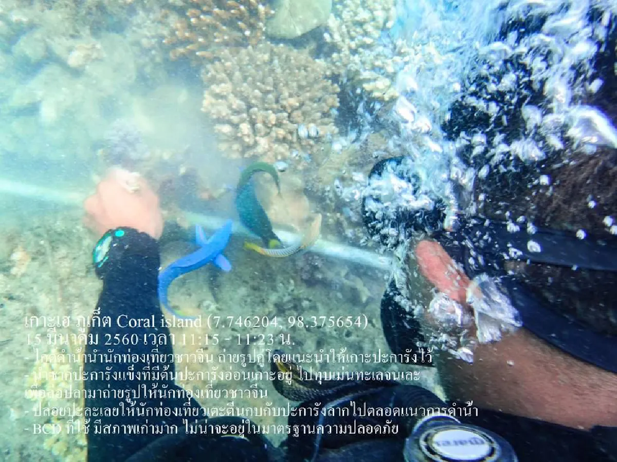 สุดเถื่อน!ไกด์พาทัวร์จีนดำน้ำภูเก็ตทุบหอยเม่นล่อปลา-เหยียบปะการัง