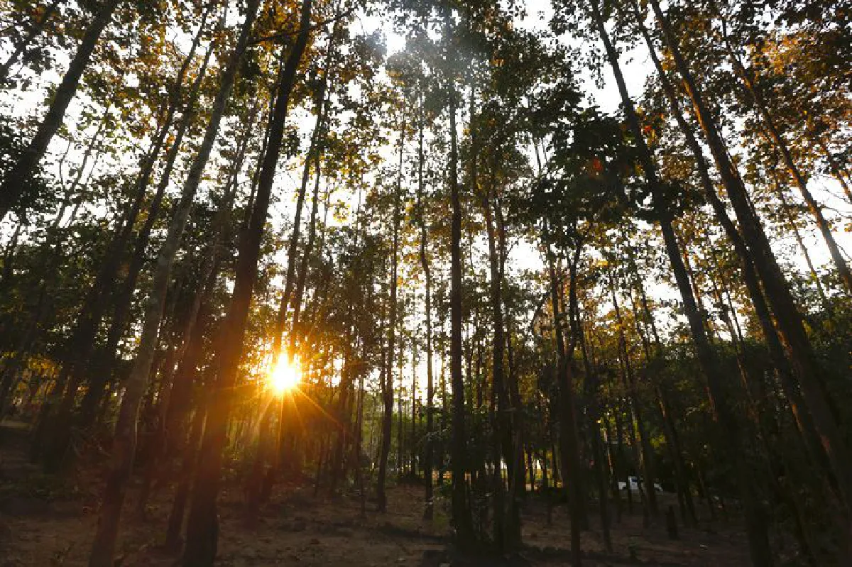 ชนบทของต่างจังหวัด บ้านปง-ห้วยลาน หมู่บ้านในป่าไม่ห่างจากเมือง