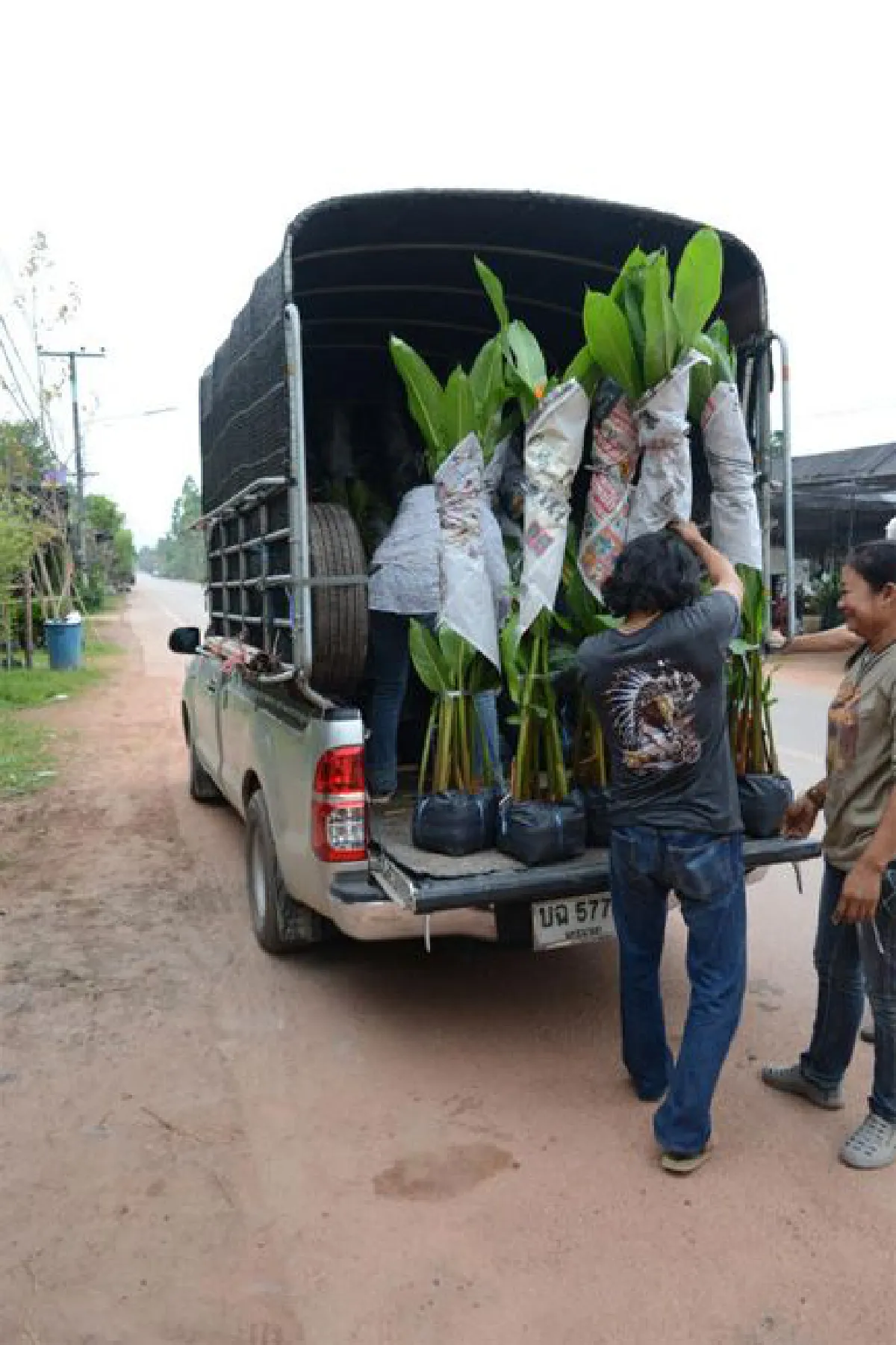 บ้านดงบัง จากแหล่งเพาะต้นไม้สู่การเรียนรู้พืชพันธุ์สมุนไพร