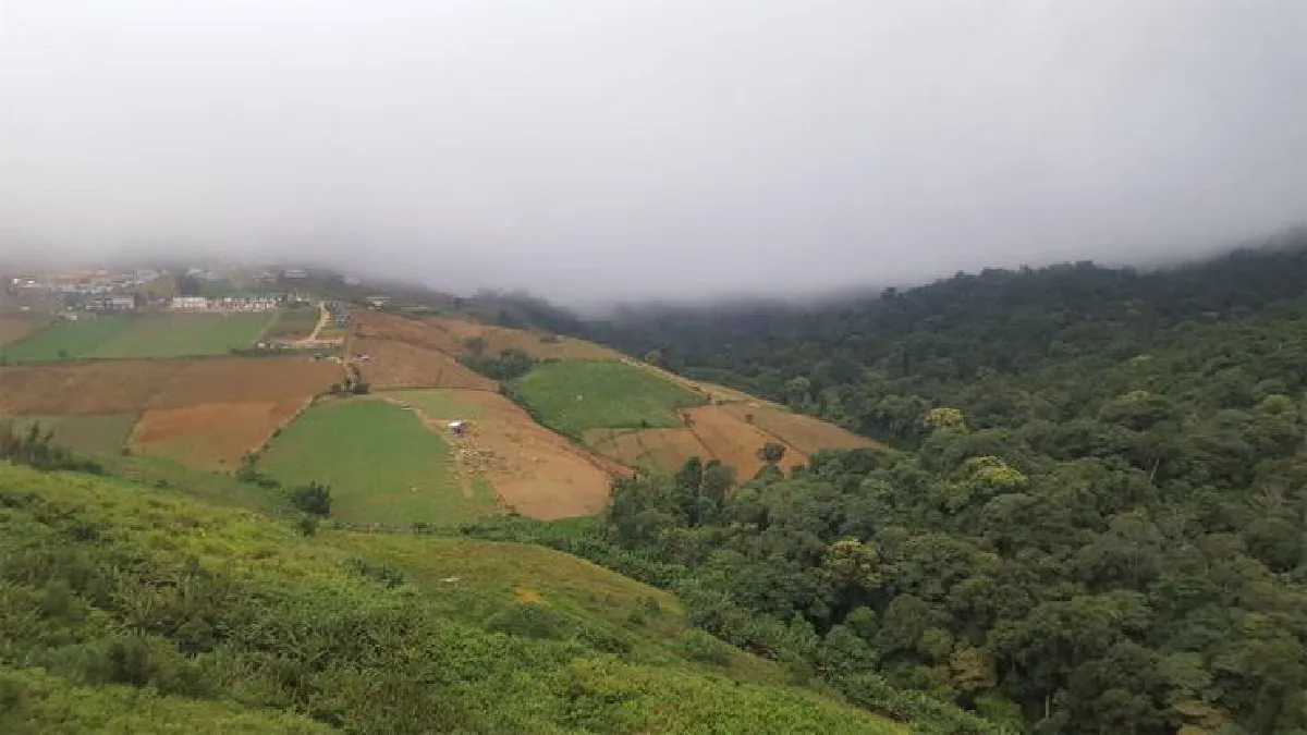 หนีความตึงมาพึ่งความช้า ศิริวัฒน์ มะลิแย้ม