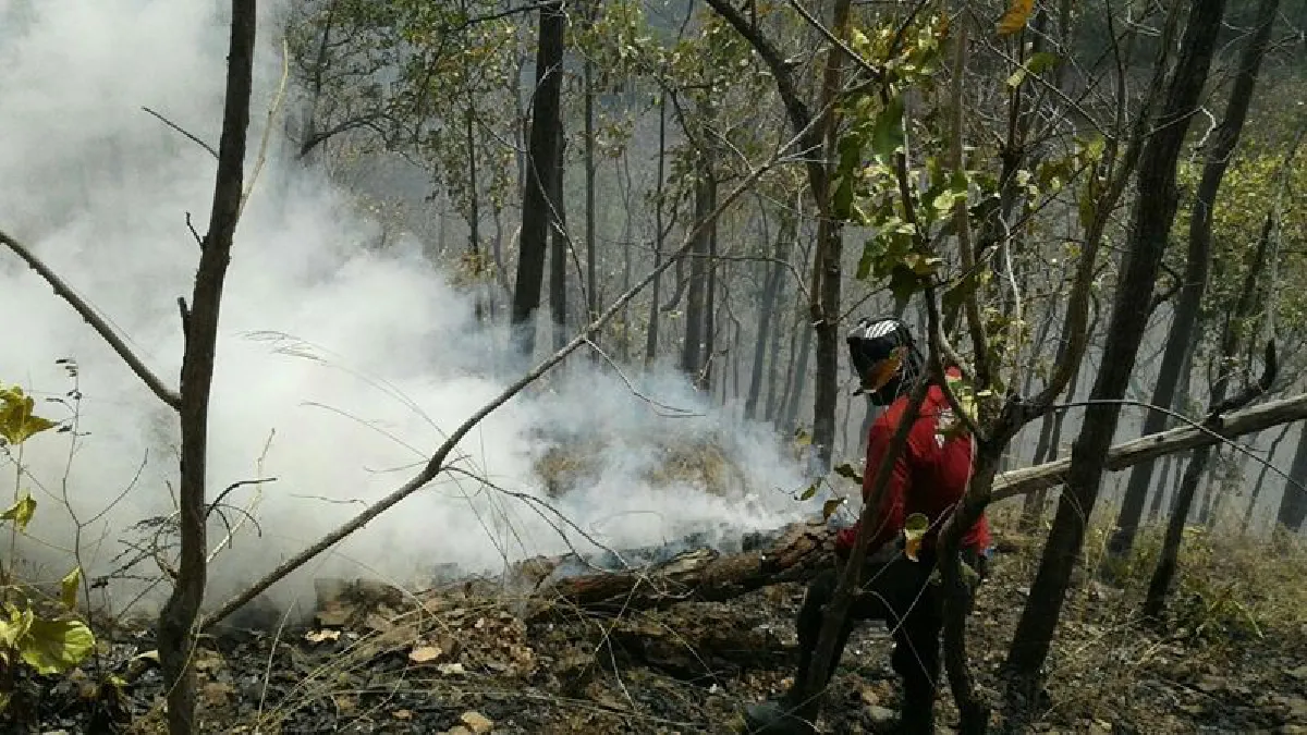 ดอยพระบาทลำปางไฟป่าลามระลอก3มองเห็นได้จากตัวเมือง