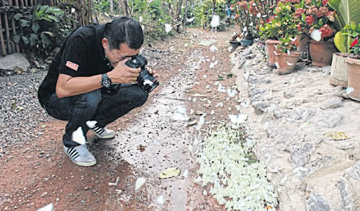 ชมผีเสื้อบ้านมุง มหัศจรรย์ธรรมชาติเมืองสองแคว