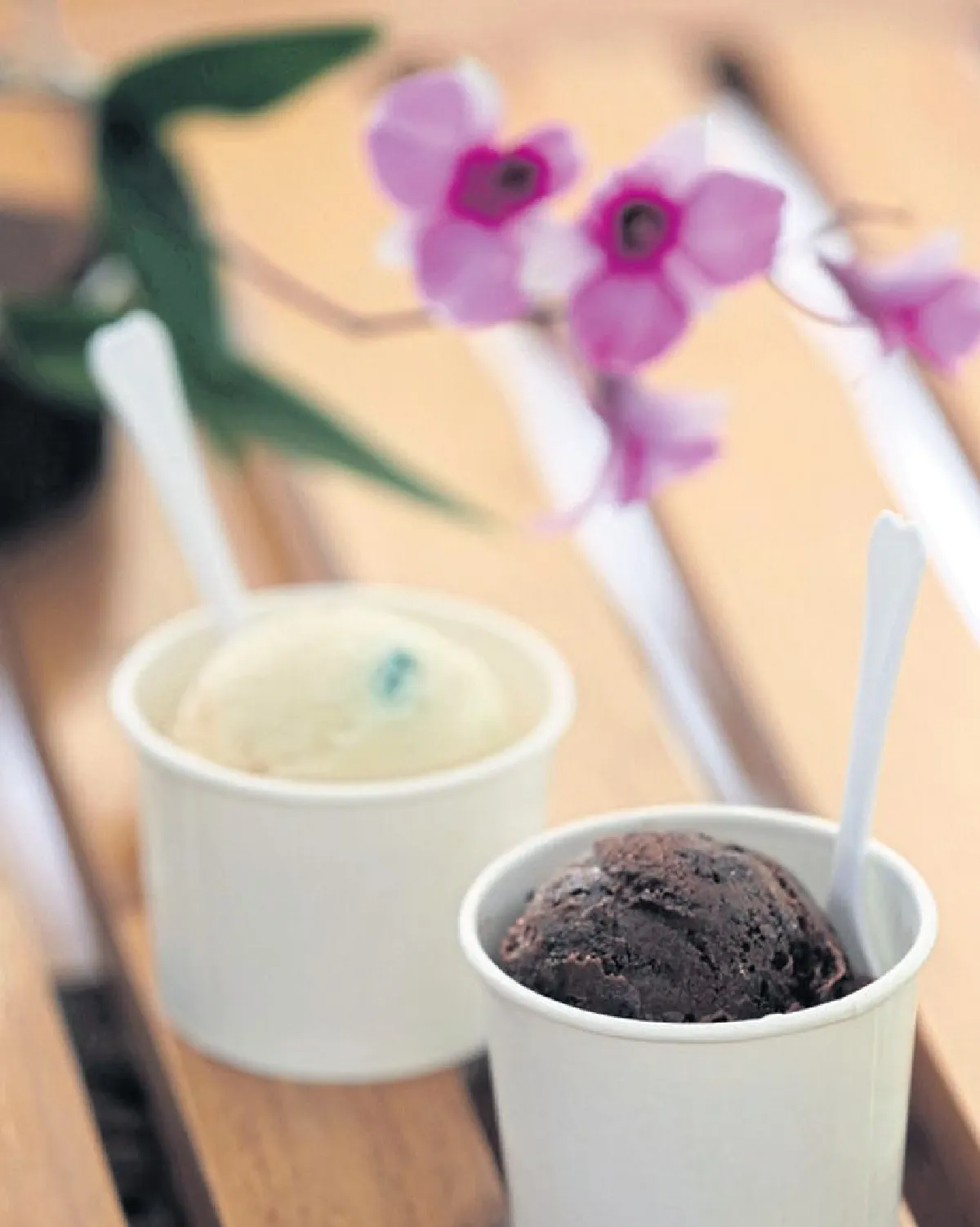 สยายปีกบินท่องโลกดอกไม้ อุทยานกล้วยไม้ เดอะ บลูมส์ ราชบุรี