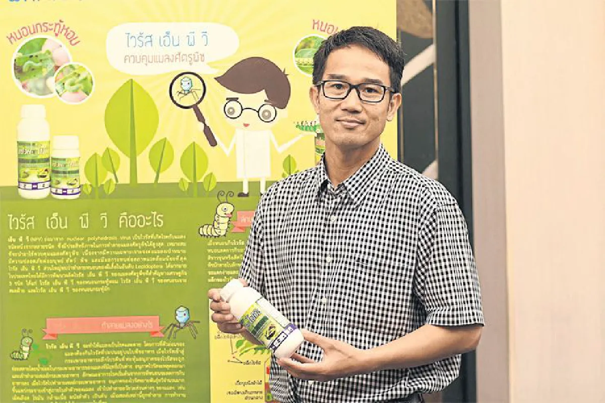 'ไวรัส เอ็น พี วี' นวัตกรรมวิจัย เพื่อผักปลอดภัย ยุคเกษตร 4.0