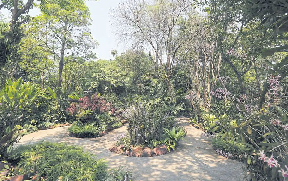 สยายปีกบินท่องโลกดอกไม้ อุทยานกล้วยไม้ เดอะ บลูมส์ ราชบุรี