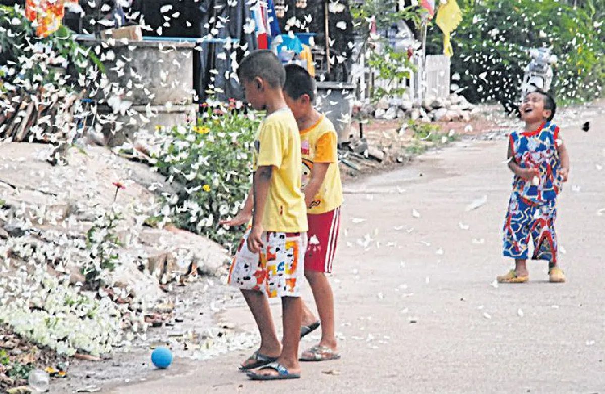 ชมผีเสื้อบ้านมุง มหัศจรรย์ธรรมชาติเมืองสองแคว