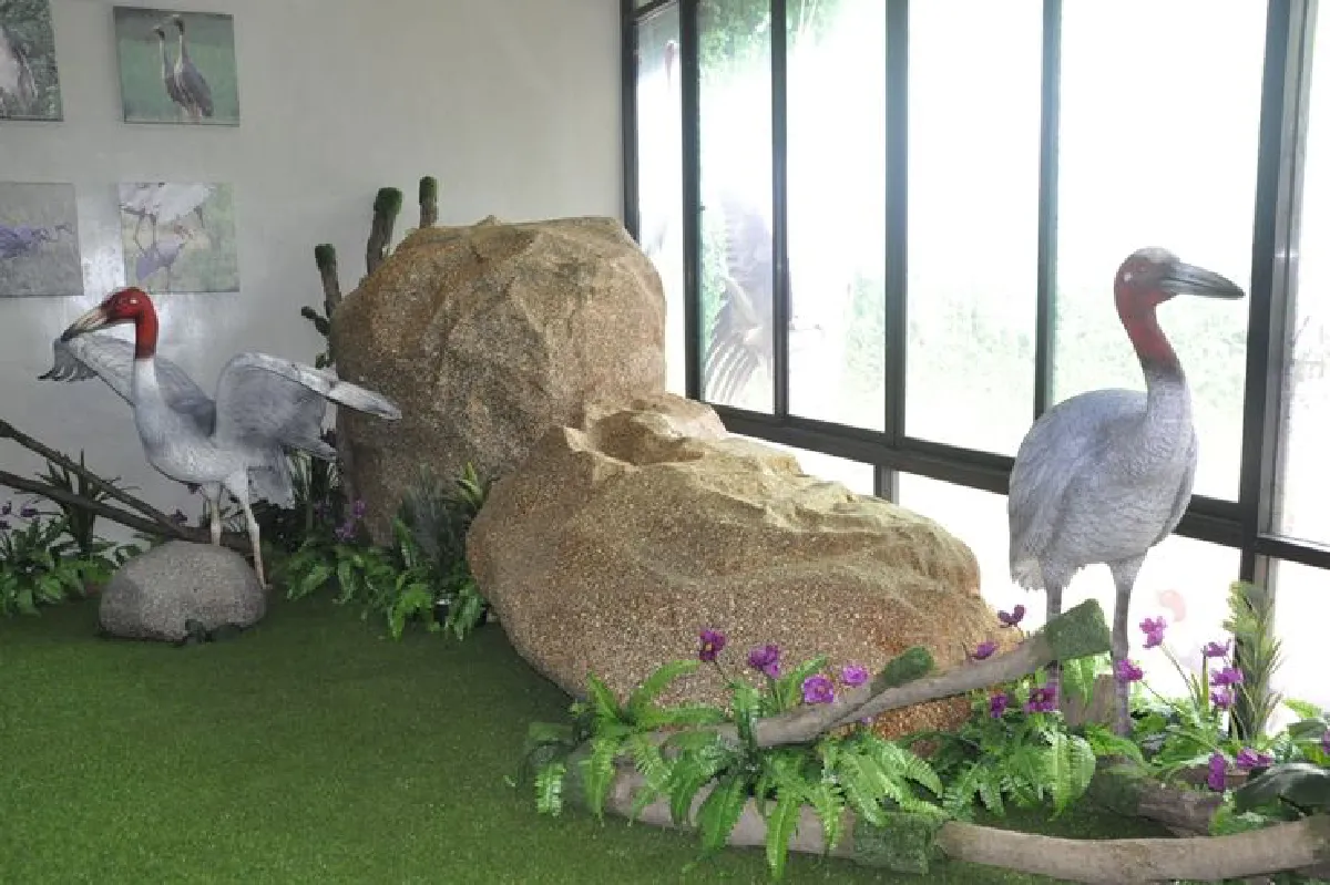 สวนสัตว์โคราชเปิดอาคารนกกระเรียนโลกศึกษาการเพาะพันธุ์