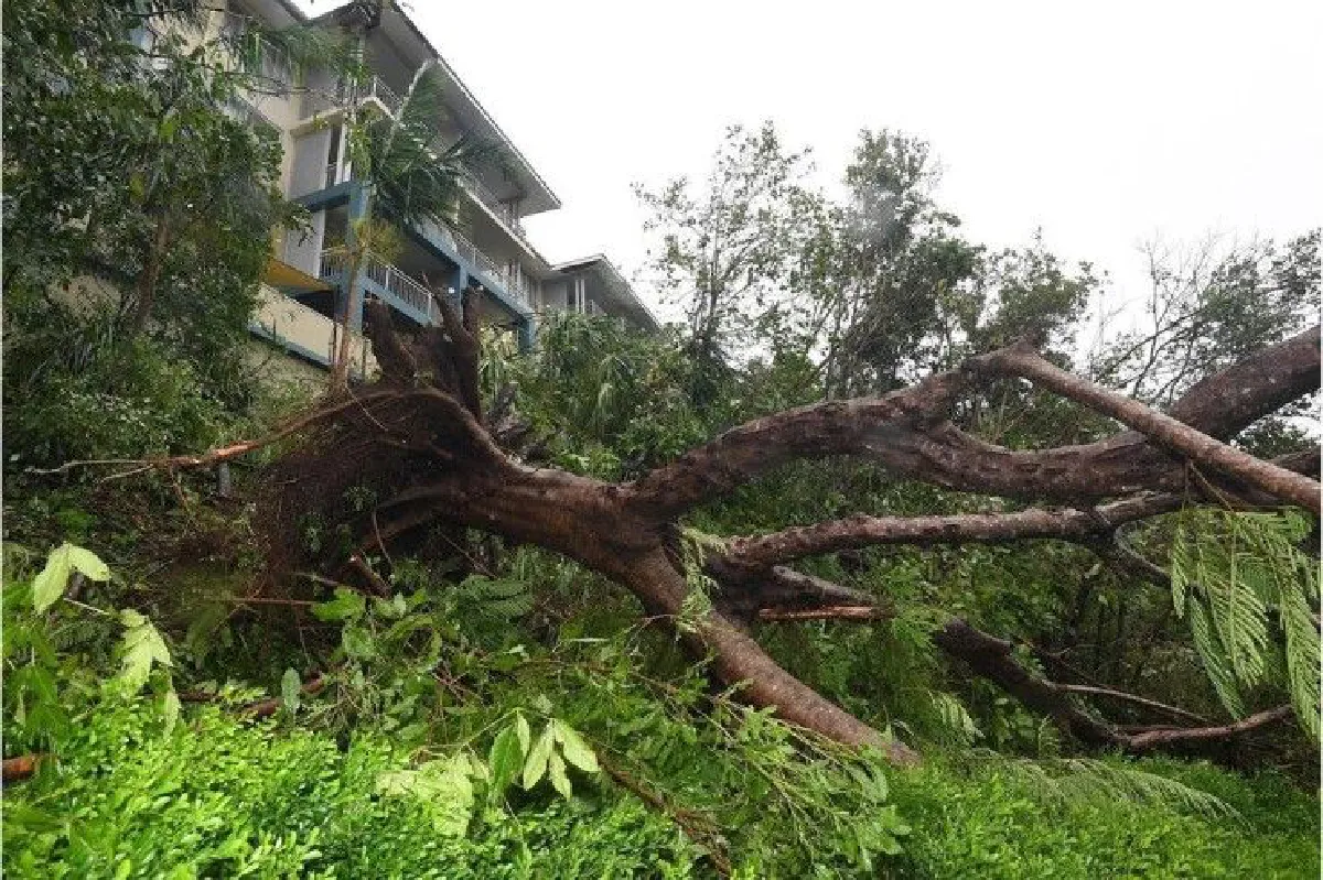 ประมวลภาพความเสียหายไซโคลน "เด็บบี้" ถล่มออสเตรเลีย