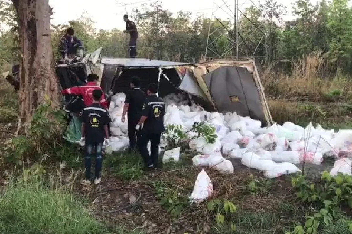 คนขับรถส่งน้ำแข็งหลับในพุ่งชนต้นไม้ดับ