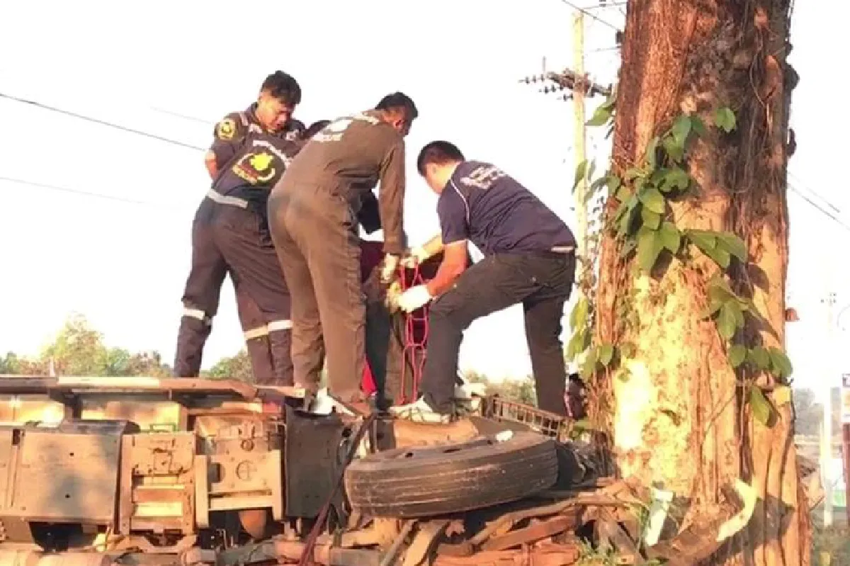คนขับรถส่งน้ำแข็งหลับในพุ่งชนต้นไม้ดับ