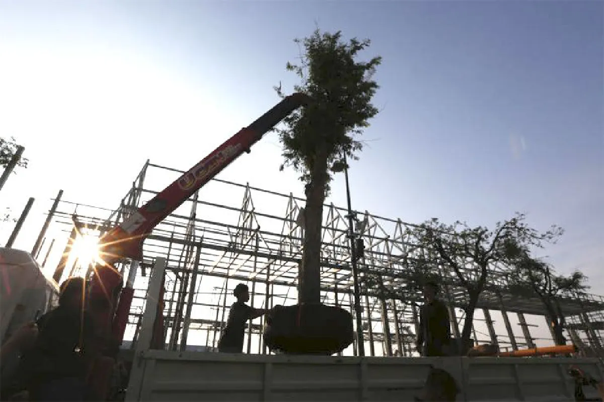 เล่าเรื่องคุณปู่มะขาม ก่อนถึงงานพระเมรุ