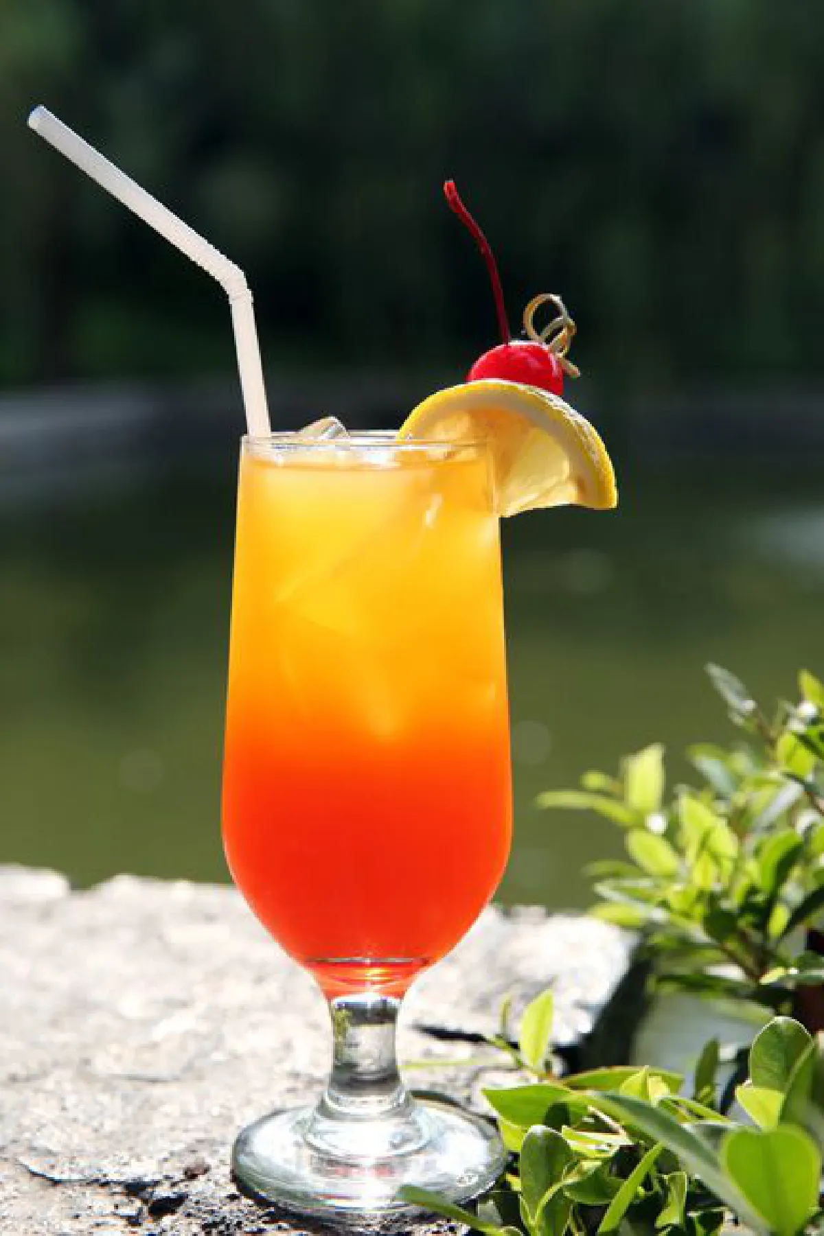 สุขใจในสวนหลังบ้าน ฮิดเดน แบ็คยาร์ด