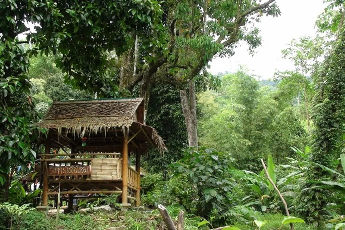 คนนครศรีฯเจ๋ง!ผลิตไฟฟ้าจากพลังน้ำ(ตก)