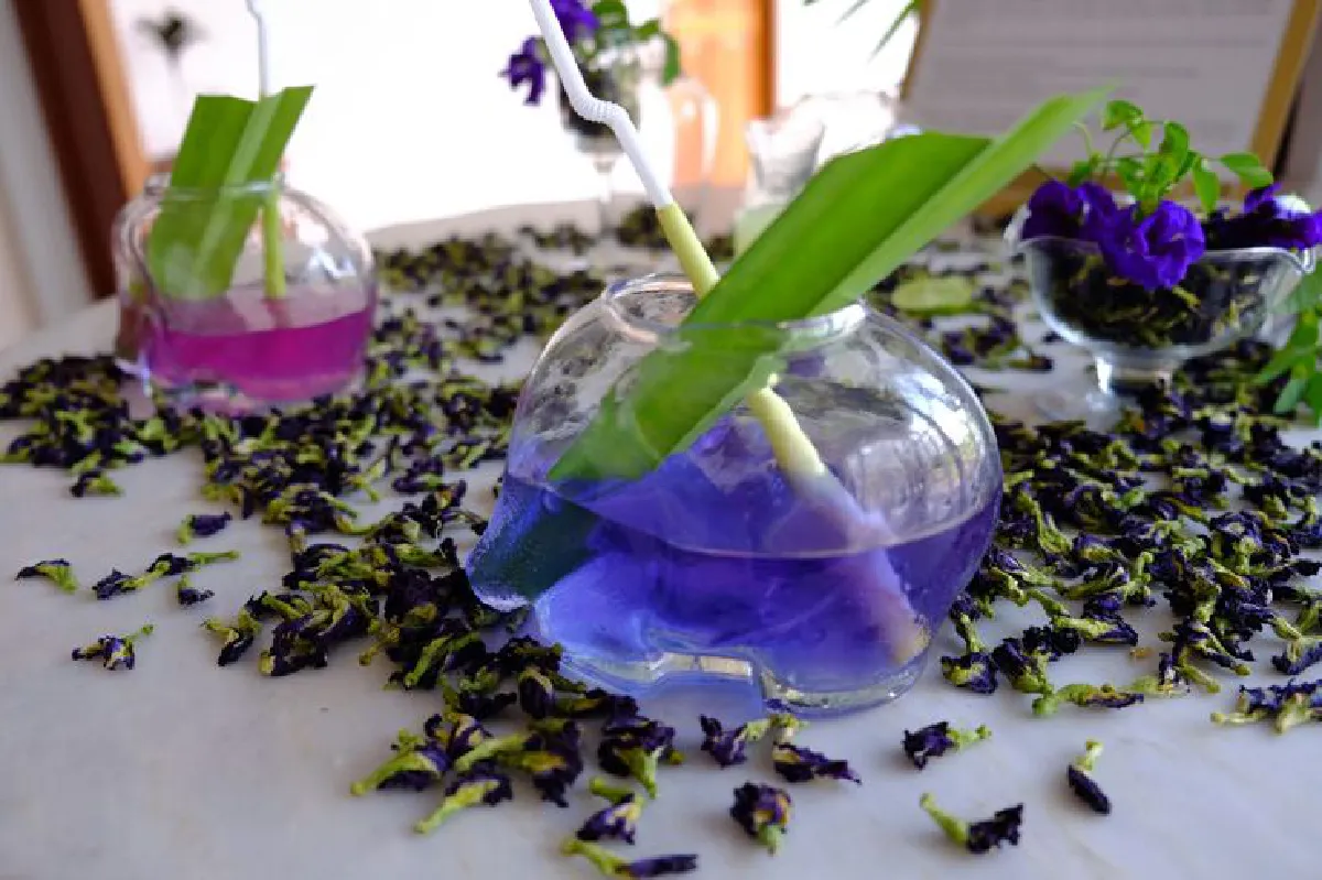 ร้อนแล้ว ไม่แคล้ว ‘หัวหิน’