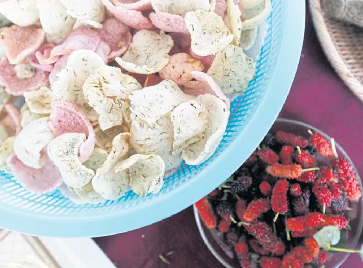 หม่อนไหม ผ้าไหม อีสานไหม?