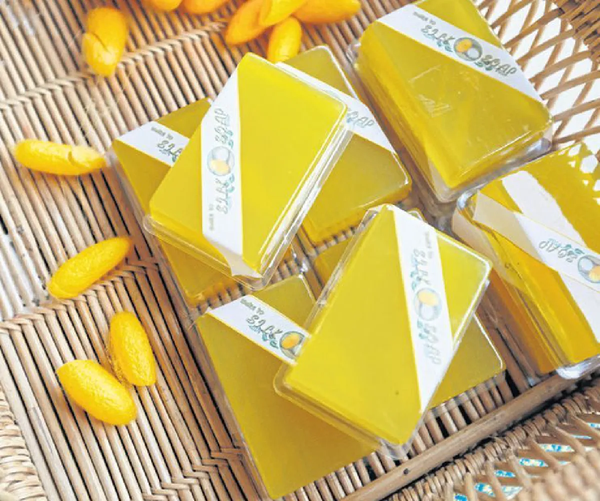 หม่อนไหม ผ้าไหม อีสานไหม?